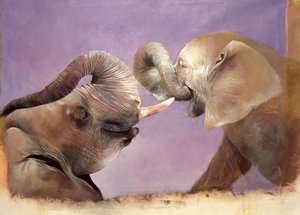 Elephants at Play, 2001 (acrylique sur toile) - Odile Kidd