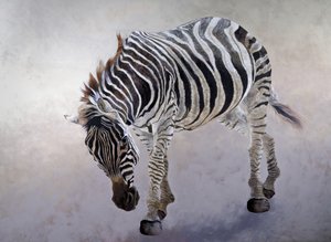 Equus burchelli 2, 2010 (acrylique sur toile) - Odile Kidd