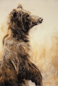 Grizzly Bear 2, 2002 (crayon de carbone, fusain et craie) - Odile Kidd