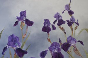Iris hybrida (détail), 2015 (acrylique sur bois gesso)
