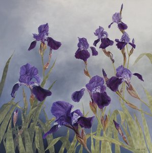 Iris hybrida, 2015 (acrylique sur bois gesso) - Odile Kidd
