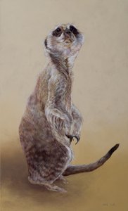 Suricate 2, 2010 (acrylique sur bois)