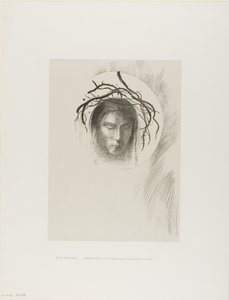 Le jour apparaît enfin,...et dans le disque même du soleil brille le visage de Jésus-Christ, planche 24 de 24