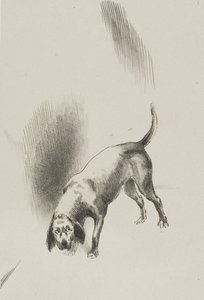 Il [le chien du narrateur] gardait les yeux fixés sur moi avec un regard si étrange, planche 3 de 6 - Odilon Redon