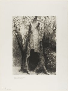 Je me suis plongé dans la solitude. J