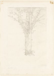 Arbre - Odilon Redon