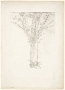 Arbre - Odilon Redon