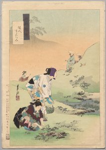Beautés récoltant des fougères, de la série Divers de Gekkō - Ogata Gekko