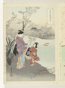 Admiration des fleurs de prunier (comparaisons entre beautés et fleurs)