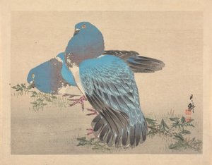  - Ogata Gekko