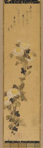 Chrysanthèmes, 18ème-19ème siècle - Ogata Kenzan