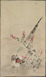 Faisan et herbes, fin XVIIe-début XVIIIe siècle - Ogata Korin