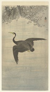 Cormoran en vol - Ohara Koson