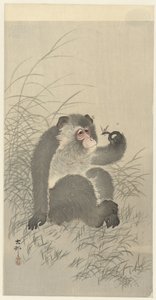 Singe avec insecte - Ohara Koson