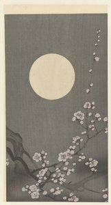 Fleurs de prunier en pleine lune - Ohara Koson
