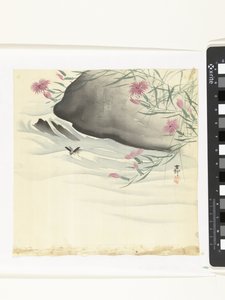 Fleurs au bord de l