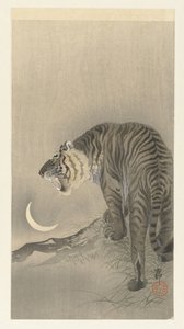 Tigre rugissant