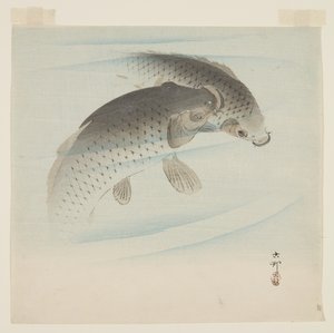 Carpe - Ohara Koson