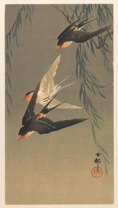 Trois hirondelles à croupion rouge en piqué - Ohara Koson