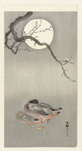 Canards sous la pleine lune - Ohara Koson