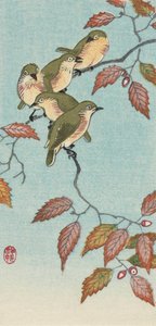 Cinq petits oiseaux sur une branche, par l