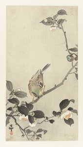 Bruant sur une branche en fleurs - Ohara Koson