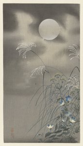 Herbes et fleurs sous la pleine lune - Ohara Koson