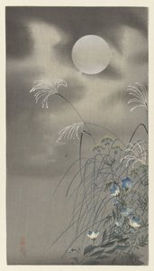 Herbes et fleurs sous une pleine lune - Ohara Koson