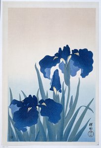 Iris - Ohara Koson