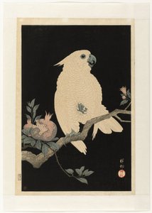 Cacatoès avec grenade - Ohara Koson