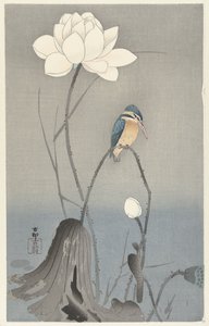 Martin-pêcheur avec fleur de lotus