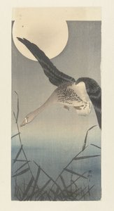 Oie cendrée sous la pleine lune - Ohara Koson