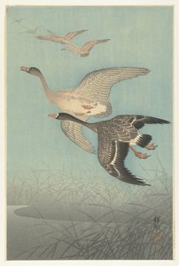 Oies cendrées en vol - Ohara Koson