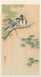Mésanges sur une branche d