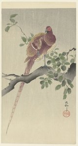 Faisan cuivré - Ohara Koson