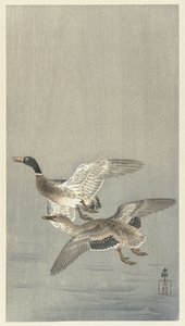 Couple de canards - Ohara Koson
