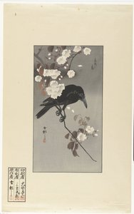 Corbeau et fleurs de cerisier - Ohara Koson
