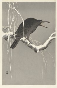 Corbeau sur une branche enneigée