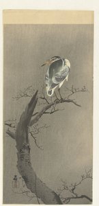 Héron sur une branche