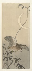 Caille sous la lune en croissant - Ohara Koson