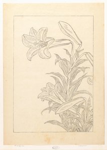 Lys - Ohara Koson