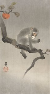 Singe dans un arbre fruitier, 1900-30