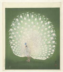 Paon - Ohara Koson