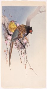 Faisans et cerisier suspendu - Ohara Koson
