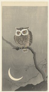 Hibou moyen-duc sur une branche nue - Ohara Koson