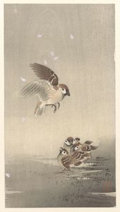 Moineau avec ses petits - Ohara Koson