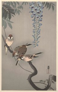 Moineaux à collier près de la glycine - Ohara Koson