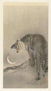 Tigre rugissant