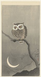 Petit-duc sur une branche avec croissant de lune - Ohara Koson
