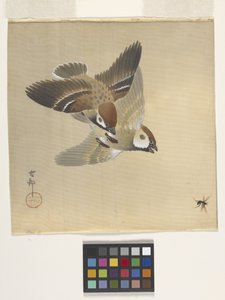 Moineaux chassant des insectes volants - Ohara Koson